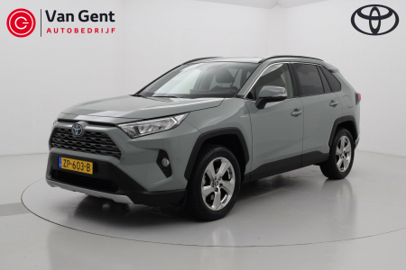 Toyota RAV4 2.5 Hybrid 2WD Business Intro Leder Navi Automaat